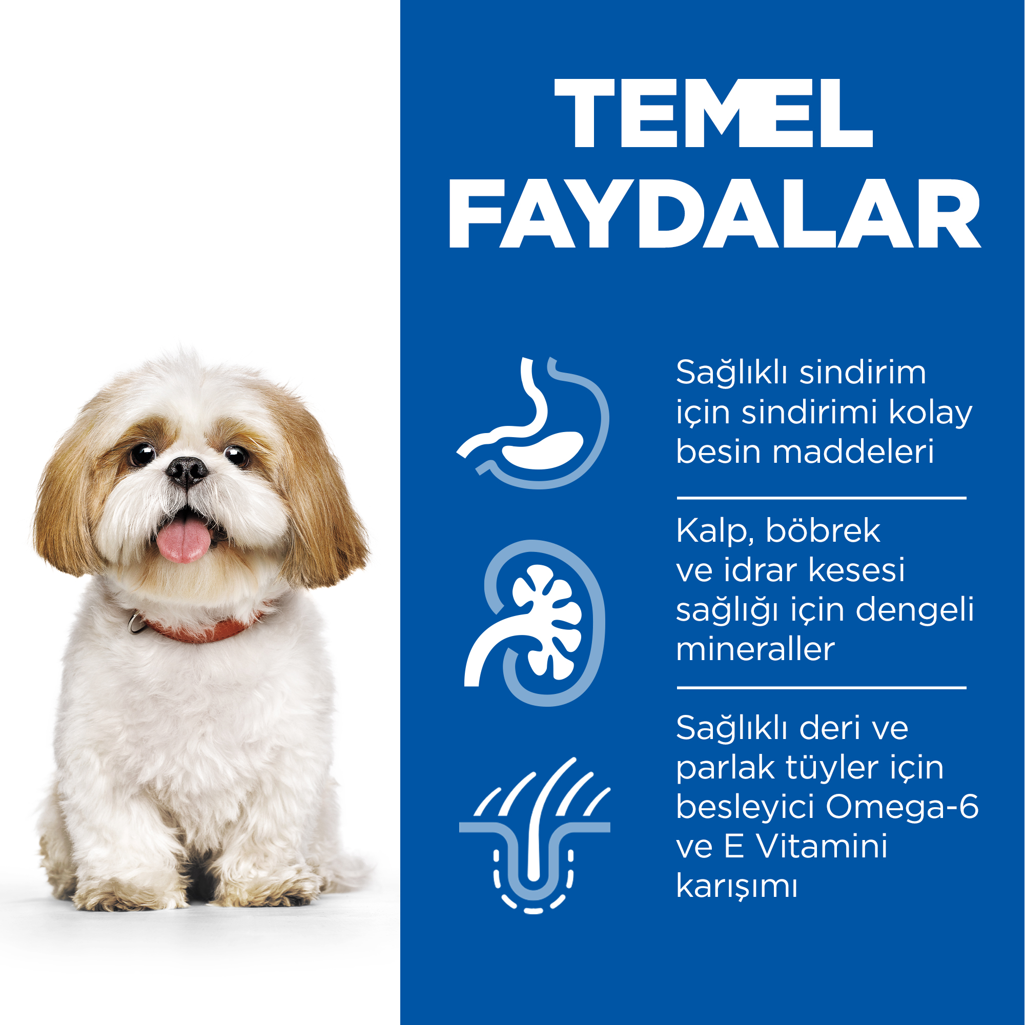 Hills Adult Small&Mini Tavuklu Küçük Irk Köpek Maması 3 Kg - Lisinya