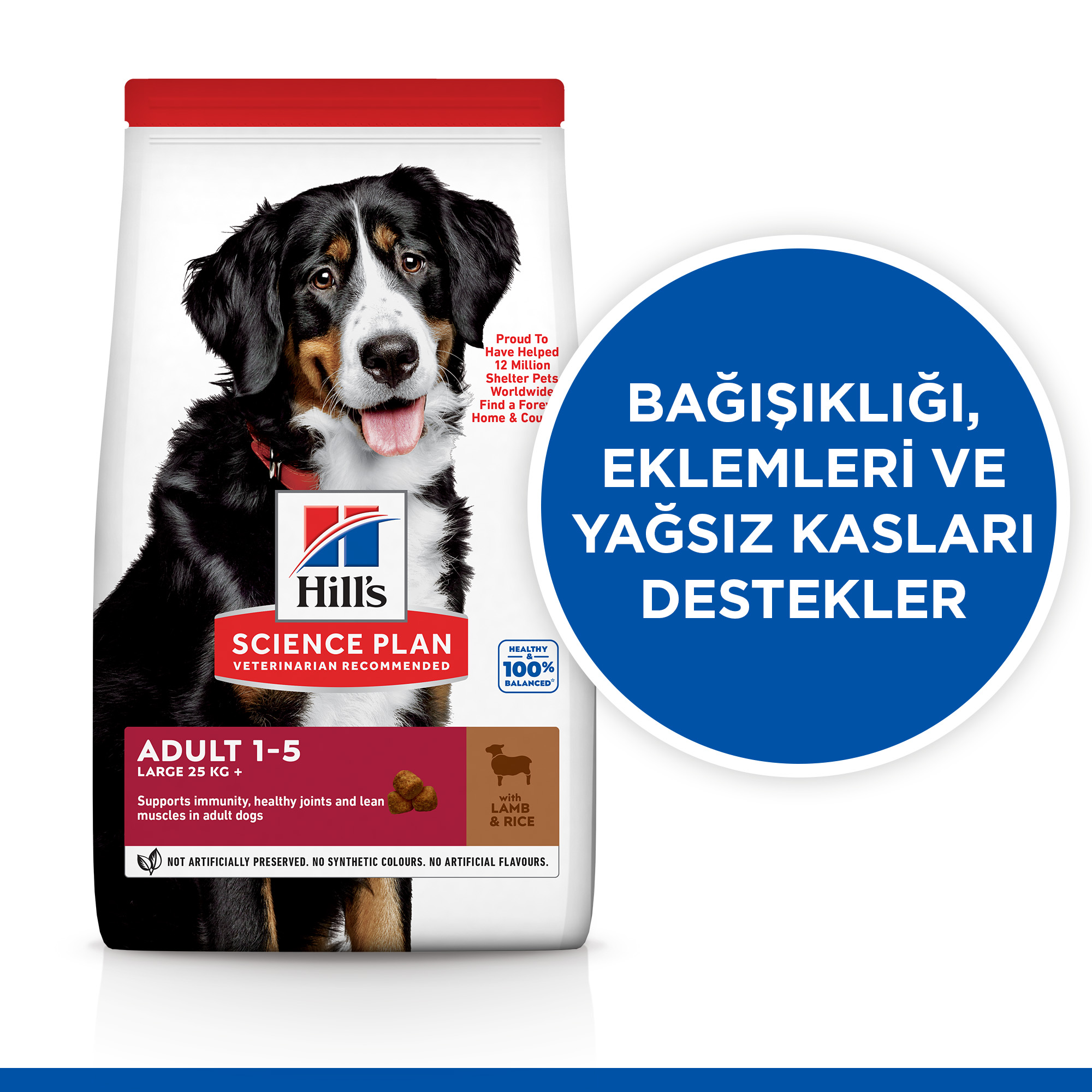 Hill's SCIENCE PLAN Kuzulu Büyük Irk Yetişkin Köpe Maması 12kg+2kg HEDİYE! - Lisinya