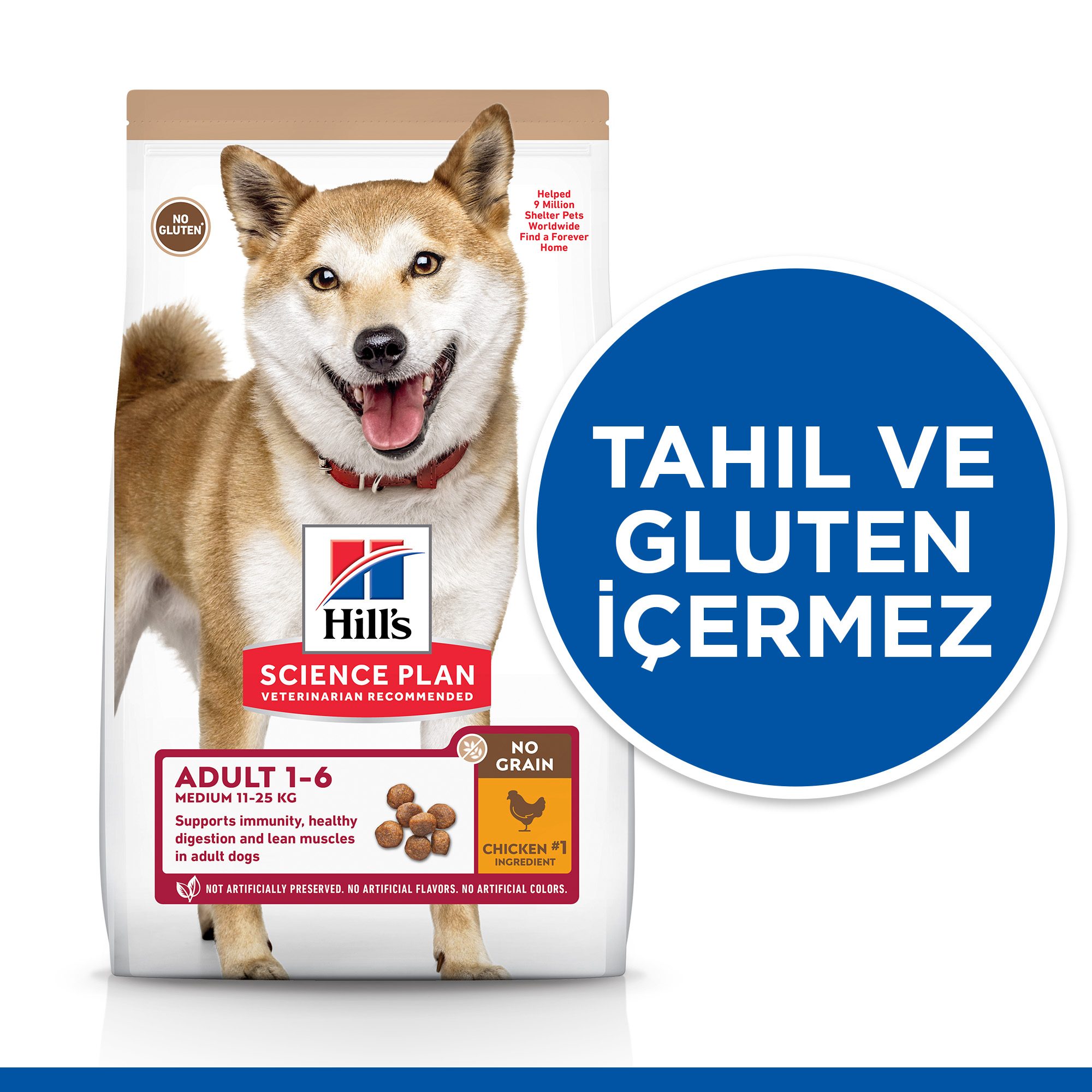 Hills Tavuklu Orta Irk Tahılsız Yetişkin Köpek Maması 12 Kg - Lisinya