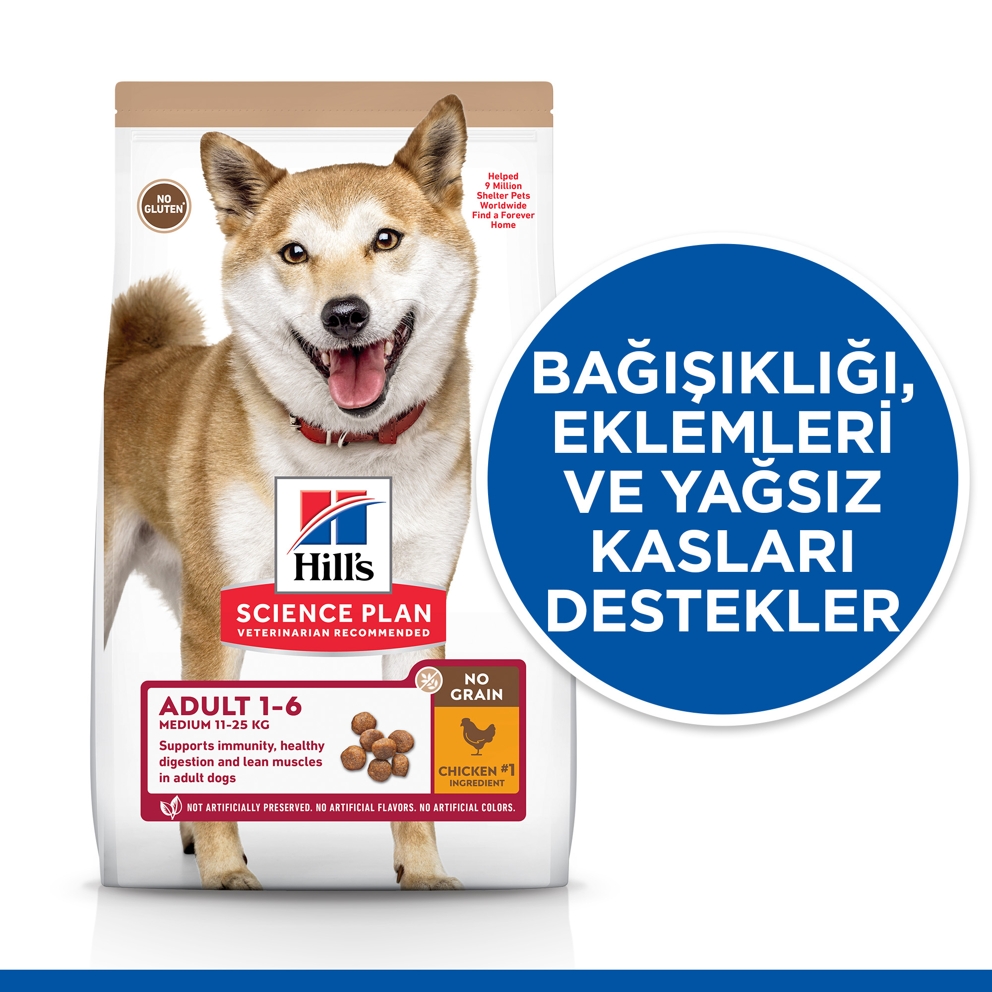 Hills Tavuklu Orta Irk Tahılsız Yetişkin Köpek Maması 12 Kg - Lisinya