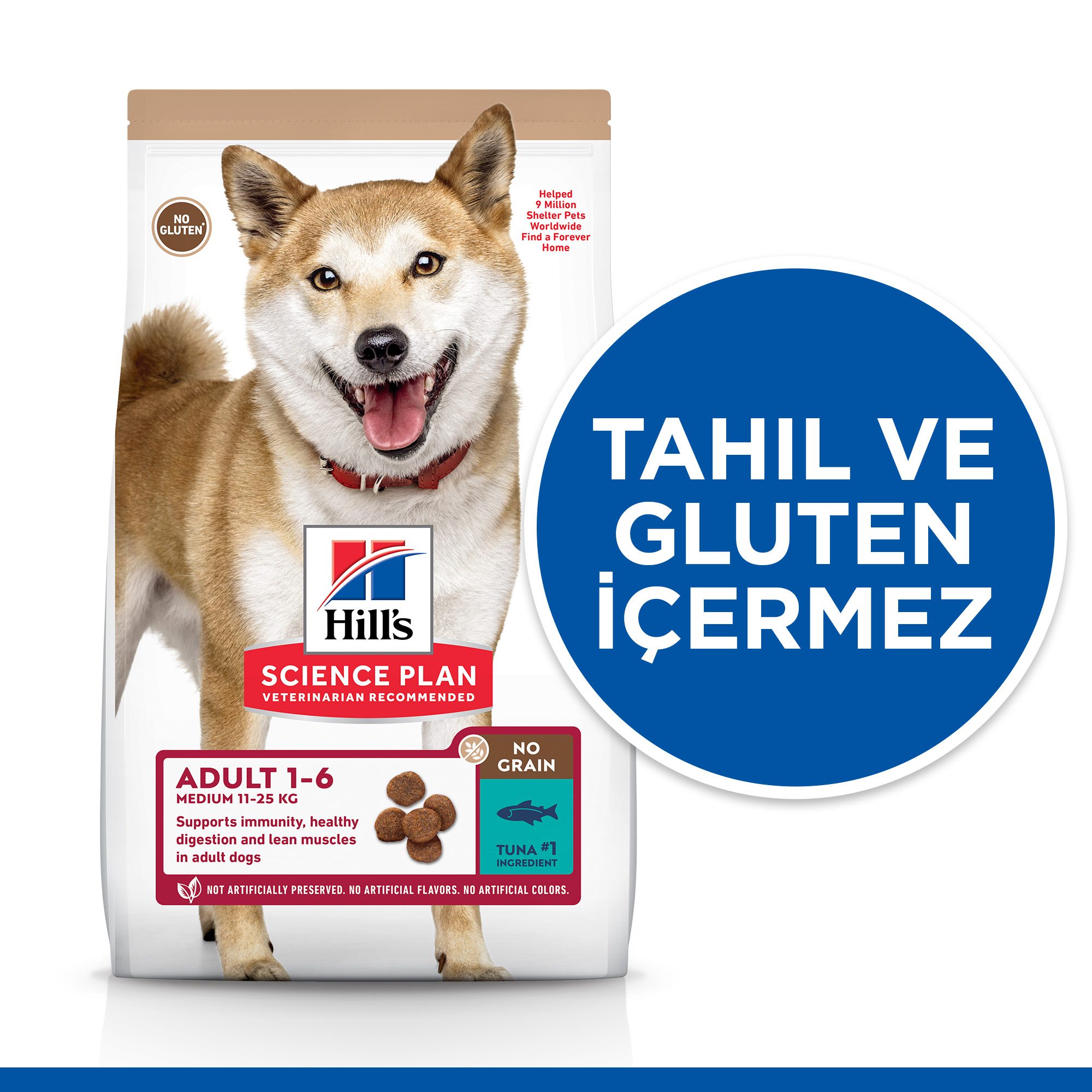 Hills Tahılsız Ton Balıklı Yetişkin Köpek Maması 12 Kg - Lisinya