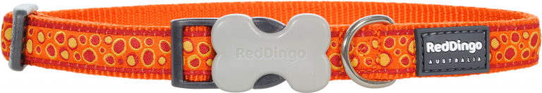 Red Dingo Bedrock Desenli Turuncu Köpek Boyun Tasması 20mm - Lisinya