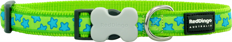 Reddingo Lime Üzerine Turkuaz Yıldızlı Köpek Boyun Tasması S 15mm  24-36 cm - Lisinya