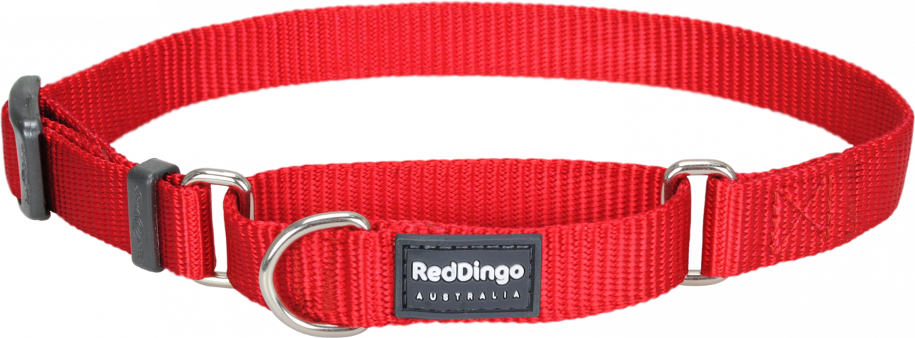 Red Dingo Klasik Kırmızı Boyun Eğitim Tasması L 25m 41-63 cm - Lisinya