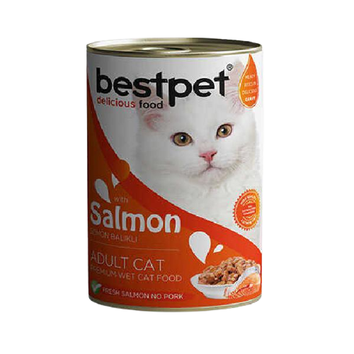 Bestpet Somonlu Jöleli Yetişkin Kedi Konservesi 400 Gr - Lisinya