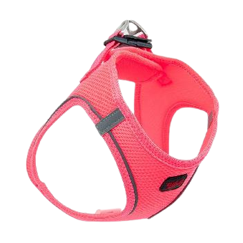 Tailpetz Air-Mesh Küçük Irk Köpek Göğüs Tasması 3644cm (Neon Pembe) [S] - Lisinya